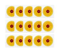 30PCS Floral Window Fly Traps Catcher Indoor Stickers for Indoor Insect Pest Attractor and Eliminator (Yellow)