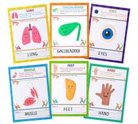 30Pcs Human Anatomy Playdough Mat Tracing Activity Card Playdough Marker Human Body Organ Learning Game Anatomy and Physiology Flashcard for Preschool Classroom Home Educational Supplies