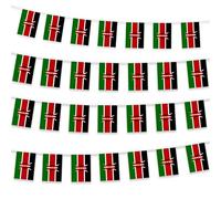 30pcs Kenya Bunting Kenyan String flag Small Flags Mini flag Garland