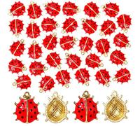 30Pcs Lady Bug Charms for Jewelry Making Ladybugs Charms Enamel Alloy Bulk Insect Beads Luck Mini Lady Bug Beetles Animal Pendants for Women Adult DIY Necklace Earrings Bracelet Craft Key Chain Purse