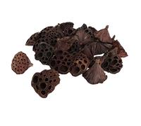 30pcs Natural Dried lotus pod Flowers Fruit for floral decor crafts DIY