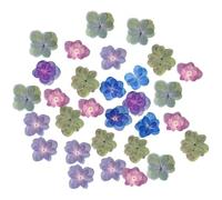 30pcs Pressed Dried Flowers for Crafts, Natural Decorative Blooms | Multicolored Petals, Original Shape and Colour Kept, Suitable for Paper Art and Glass Craft Accessories