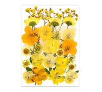 30Pcs Pressed Flower Art Craft Embellishment Supplies For Handmade Bookmarks Jewelry Making Scrapbooking Dried Flower