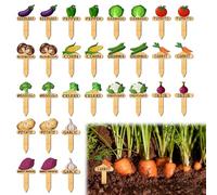 30PCS Vegetable Plant Labels, 15 Styles Vegetable Names and Patterns Garden Wooden Labels for Outdoor Plants, T Type Plant Label for Vegetables Seedling Potted Plants Garden Stake Sign 2.5 x 4.7In