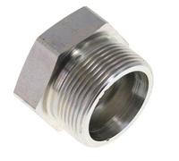 30S Zinc plated Steel Closing Plug for Tubes 400 Bar DIN 2353