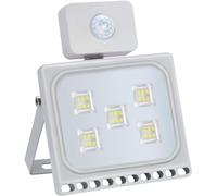 30W LED Flood Lights, 2400Lm IP65 Waterproof Security Light with Motion Sensor, PIR Sensor Floodlight Outdoor 6500K Cold White Wall Spot Light for Yard Garden (Color : 1
