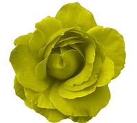 30x YELLOW/GREEN ROSE FLOWERS FLAT EDIBLE PREMIUM CUP CAKE TOPPERS D1