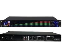 31-Band Audio Graphic Equalizer with LED Spectrum Display, DSP Processing, Noise Reduction, 10 Preset Effects for Recording Studio (2 Channels)