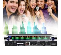 31 Band Equalizer, DJ Digital Mixer Processor, DSP Feedback Eliminator with Individual Led Indicators, 10 Preset Effects and Noise reduce function, for Stage Enhanced Live Production