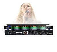 31 Bands Graphic Equalizer,Audio Digital Effects Controller, Automatic Noise Reduction, Led Music Spectrum Analyzer