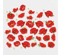 31 Poppy Window Stickers for Glass 2023 - Poppies for Remembrance Day Window Decorations with Primroses