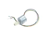 310 BLDC Brushless electronic starter DC 12V 17.4V 24V 8600RPM High Speed long Shaft mute Built-in Driver Support Speed regulation BIANMTSW(With Worm Motor)