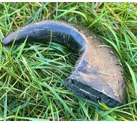 310 grams - 400 gms LARGE Buffalo Bull Horn 100% Natural Dog Treats Chews - Long Lasting. Resealable packing