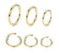 316L Stainless-Steel Piercing-Ring Hinged Nose-Rings-Hoop : 20G 18G 16G 14G Womens and Mens Body Pierecing Ring Segment Clicker Lip Rings Helix Cartilage Rook Earrings Diameter 6mm 8mm 10mm 12mm