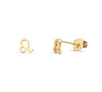 316L Stainless Steel Zodiac Stud Earrings, Sold as a Pair, One Size, Metal, No Gemstone