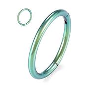 316L Surgical Steel Nose Rings Hoop 18G Septum Clicker Ring Higned Segment Ring Seamless Clicker Hoop Nose Ring Green Conch Tragus Cartilage Helix Daith Lobe Hoop Earrings Piercing Jewellery 8mm