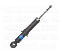 SACHS 317 206 Shock absorber