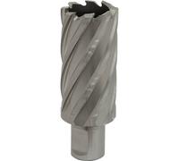 31mm x 50mm Depth Rotabor Cutter - M2 Steel Annular Metal Core Drill 19mm Shank