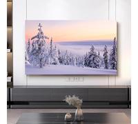 32-80 Inch Indoor TV Dust Cover Modern Dustproof & Sun Protective Cover for LCD/LED TVs Universal Monitor Cover for Hanging/Desktop Compatible-Snow2||80inch
