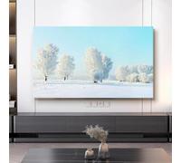 32-80 Inch Indoor TV Dust Cover Modern Dustproof & Sun Protective Cover for LCD/LED TVs Universal Monitor Cover for Hanging/Desktop Compatible-Snow1||70inch