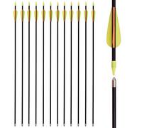 32 Inch Fiberglass Arrows Archery Recurve Bow Practice Target Safety for Beginners Kids Youth Arrows Outdoor (Pack of 12)