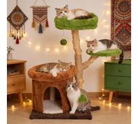 32-Inch Multi-Level Cat Tree Tower, Natural Wood Cat Furniture with Sisal Scratching Posts, Beds & Condo, Cute Cat Tree for Indoor Cats and Multi-Cat Households
