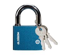 32 MM Padlock with 3 Keys, Heavy Duty Iron Security Lock, Weatherproof Shed Lock for Fence Warehouse Office Outdoor Use Reliable Padlocks