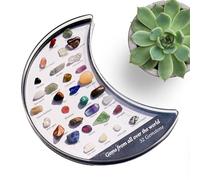 32 Natural Moon Box Tray | Crystal & Stone Storage for Bedroom, Living Room, Office, Dorm, Meditation, Relaxation, Women, H