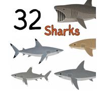 32 Sharks: A Picture Book Featuring 32 Amazing Sharks for Kids Ages 3-8