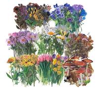 320Pcs Vintage Natural Flower Stickers, Transparent Floral Plant Decorative Decals, Self-Adhesive Pressed Flower Mushroom Stickers Set for Scrapbook Laptops
