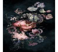 Galerie City Glam Floral Multicoloured Mural 32755, Multi