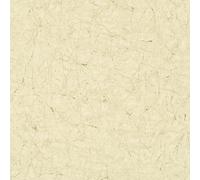 32802 - The New Textures Crackle Texture Beige Galerie Wallpaper