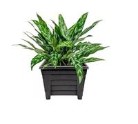 33 Cm Black Square Planter Indoor Home Outdoor Garden Window Herb Flower Pots Ebony