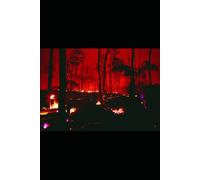 33 Embers: Poems of Presence, Power, and Becoming (The 33 Series)