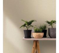 Galerie The Woods And Wicker Wood Beige Wallpaper 33385, Cream