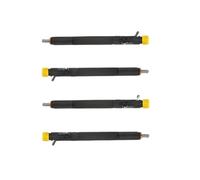 33800-4X500 33801-4X500 EJBR02301Z EJBR02801D Diesel Fuel Injector, Compatible With Hyundai Terracan KIA Carnival Sedona Bongo. 2.9 Crdi 2001-(EJBR02301Z 4PCS)