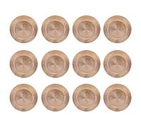 33cm Plastic Christmas Charger Plates (Rose Gold - Blast, 12)