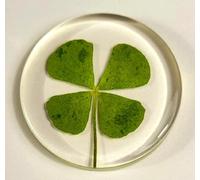 33mm Real Four Leaf Clover Shamrock in Round Crystal Clear Lucite Resin Token Specimen St.Patrick's Day "Lucky Leaf" Coin Gift Crafts Collection for Botany Science Education & Desk Ornament Display