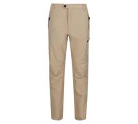 Regatta Mens Highton Hiking Trousers RG4037