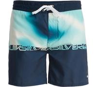 (34, Dark Navy Thermo Stripe) Quiksilver Mens Everyday 16" Swim Shorts
