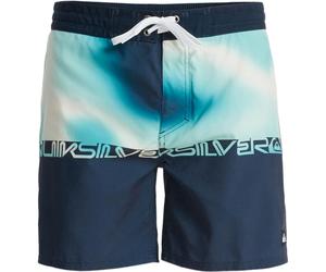 (34, Dark Navy Thermo Stripe) Quiksilver Mens Everyday 16" Swim Shorts