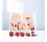34-part Trauma Assessment Module Burn Care Model For Medical Students, Doctors, And Nurses Practice