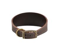 (34cm - 43cm, Sable) Ancol Timberwolf Hound Leather Dog Collar