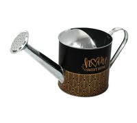 34cm Metal Decorative Watering Can Planter for Indoor Plants Black/Gold