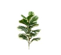 35-150cm Large Artificial Ficus Tree Faux Floor Plant Plastic Fiddle Leaves Real Touch Banyan for Home Shop Party Decor for DIY Craft Wreath Home Decor(50cm)