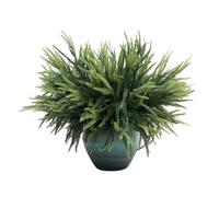 35 cm Christmas Norfolk Pine Branches, Norfolk Pine Stems, 30 Pcs/60 Pcs Real Touch Artificial Christmas Stems DIY Crafts for Xmas Indoor Outdoor Home Decor Vase Fillers (60)