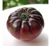 35 Seeds of Crimean Black Tomato (French origin) - SemiSauvage Permaculture