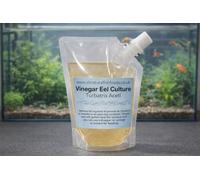 350ml Live Vinegar Eels Starter Culture - Turbatrix Aceti - Perfect Live Food for Fish Fry - Betta, Guppy, Killi & Tropical Fish Breeding - Easy to Maintain Culture