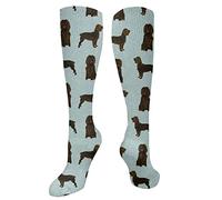 351 Crew Socks Boykin Spaniel Pet Long Socks Novelty Gift Socks Wicking Patterned Socks 50Cm For Aldult, Mens, Womens