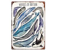 351 Metal Sign Whales Of Britain Whale Types Knowledge Whale Education Infographic Decor Poster Vintage Wall Poster Elegant Plaque Bar Pub For Bathroom, Kitchen, Home 30x40cm